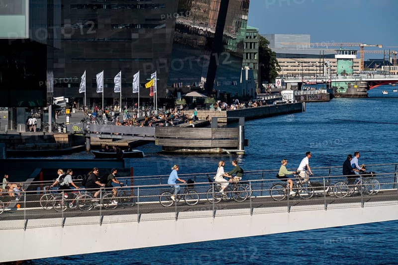 Cyclists on the Lille Langebro cycle and pedestrian bridge over the harbour, Copenhagen is considered the cycling capital of the world, 45% of the population travel by bike, Denmark, Europe