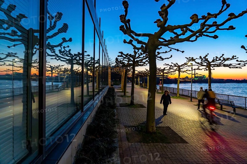 Rhine promenade, evening, state parliament building, North Rhine-Westphalia state parliament, sunset reflected in the building, bare trees in spring, Düsseldorf, North Rhine-Westphalia, Germany, Europe