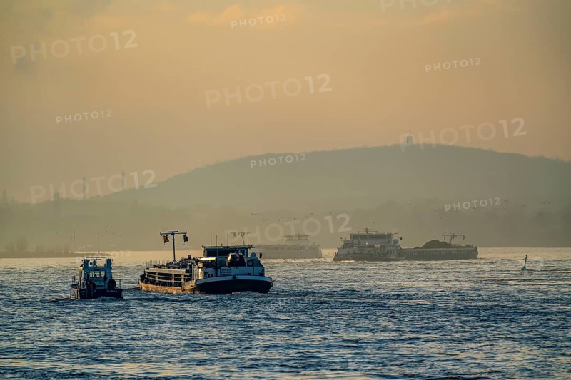 Cargo ships on the river Rhine near Duisburg-Bruckhausen, Rheinpreußen spoil tip, winter, Duisburg, North Rhine-Westphalia, Germany, Europe