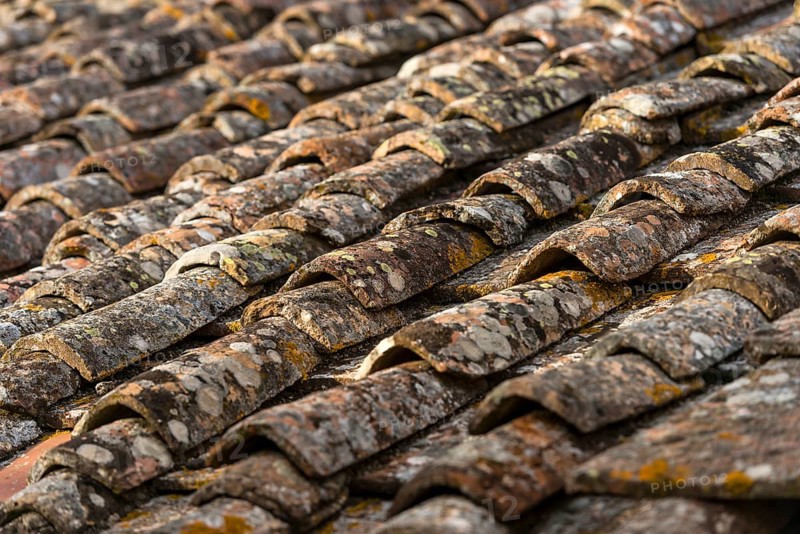 Old roof tiles, roof, old, moss, texture, background, graphic, building, dilapidated, surface, close up, Tuscany, Italy, Europe