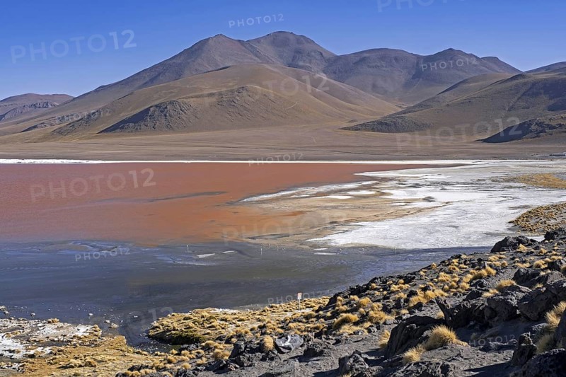Laguna Colorada, Red Lagoon, salt lake in the Eduardo Avaroa Andean Fauna National Reserve in the Andean mountains, Potosí Province, Bolivia, South America