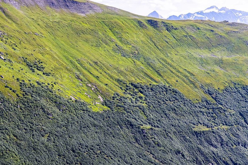 Landscape of the Swiss Alps above the tree line. Mountain slope on the Furka Pass near Obergoms, Canton Valais, Switzerland, Europe