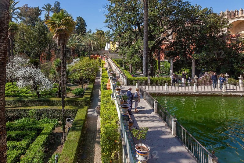 Jardines del Alcazar, gardens with palm trees in the Alcazar, Royal Palace of Seville, Seville, Spain, Europe
