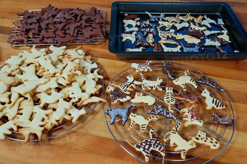 Swabian cuisine, Swabian Christmas biscuits, cookie cutters, shortbread biscuits, cat figures, painted with chocolate, typical Swabian, baking, Christmas bakery, sweet biscuits, Gutsle, Bredle, baked goods, from the oven, cooling rack, cake rack, baking tray, traditional cuisine, food photography, studio, Germany, Europe