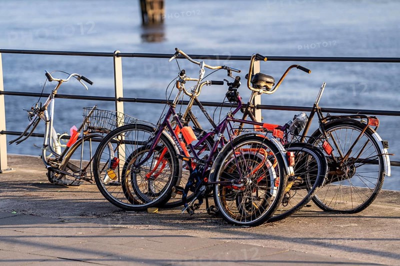 Bicycle scrap, old, partly looted, dismantled bicycles, in the HafenCity in Hamburg, on the shore of a harbour basin