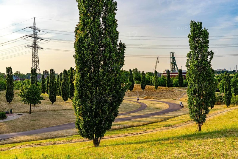 The Krupp Park in Essen-Altendorf, part of the Krupp Belt, an urban development project to rebuild the former Krupp industrial quarter in the west of Essen, 230 hectares of newly designed parkland on 5 hills, with a rainwater-fed lake, sports facilities, playgrounds, North Rhine-Westphalia, Germany, Europe