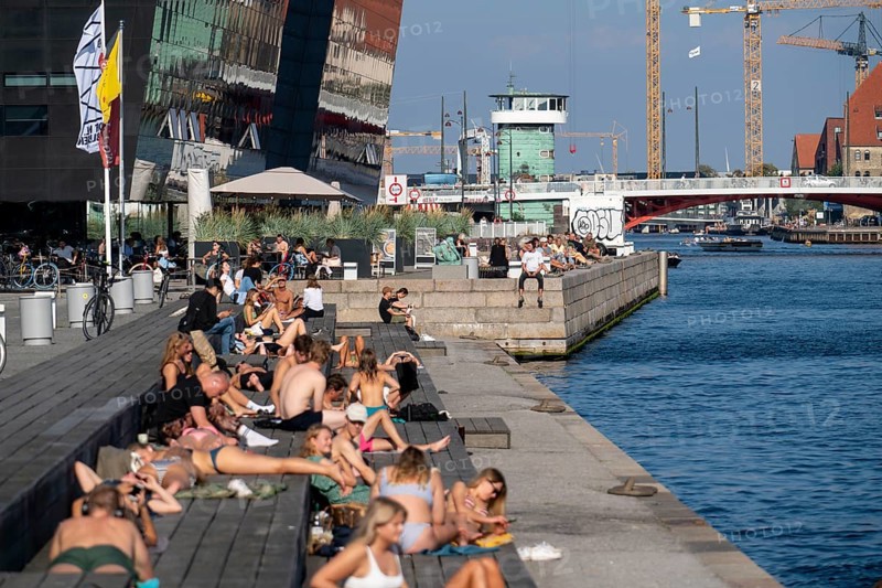 Summer, swimming in the harbour of Copenhagen, there are official bathing places, harbour baths and lidos in many places, here at the Black Diamond, Danish Royal Library, Denmark, Europe