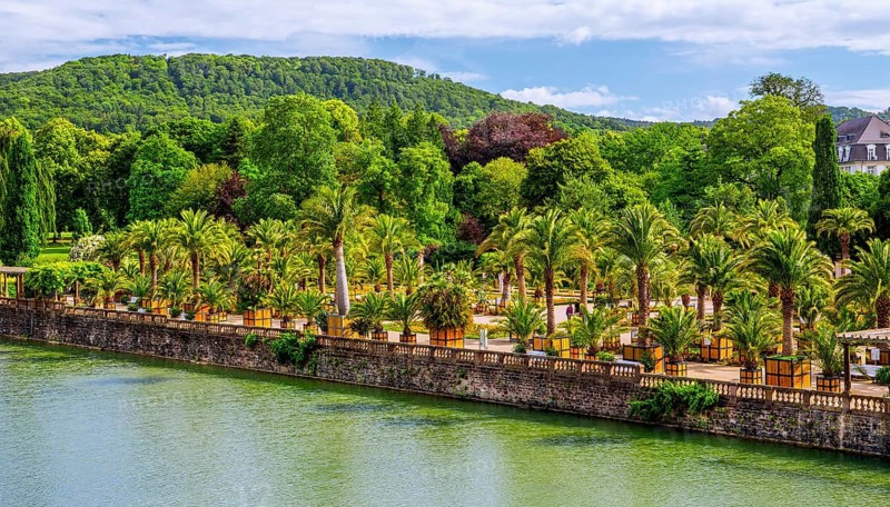 Castle moat with palm garden in the spa gardens, the largest outdoor palm garden north of the Alps, spa town of Bad Pyrmont, Lower Saxony state spa, Emmer, Emmertal, Weserbergland, Lower Saxony, Germany, Europe