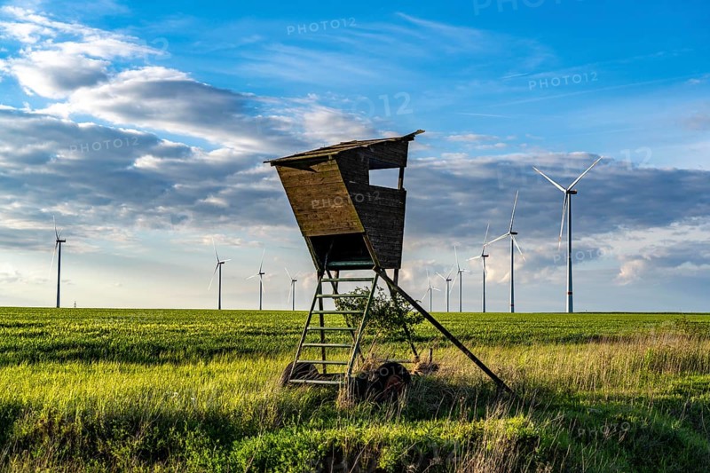 RWE wind farm near Bedburg, at the Garzweiler opencast mine, on recultivated part of the opencast lignite mine, Nordex N163 wind turbine, North Rhine-Westphalia, Germany, Europe