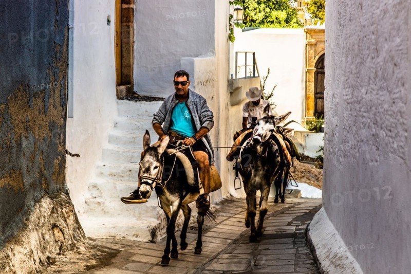 Donkeys for transporting tourists to the Acropolis, winding alleyways with white houses, Lindos, Rhodes