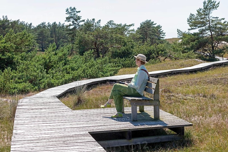 Elderly, woman sitting on bench, wooden footbridge, reed grass, trees, circular hiking trail, nature reserve, Darßer Ort, Born a. Darß, Mecklenburg-Western Pomerania, Germany, Europe