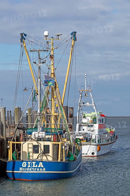 Fishing cutter, SAR boat, harbour, Strucklahnungshörn, Nordstrand, North Frisia, Schleswig-Holstein, Germany, Europe
