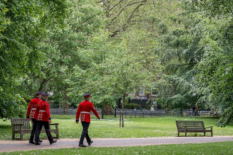 Soldiers in red and black uniform, Green Park, London, England, Great Britain