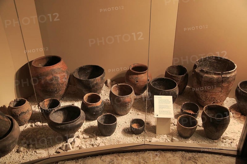 Display of pottery finds in Iron Age museum, Andover, Hampshire, England, UK