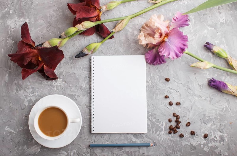 Purple and burgundy iris flowers and a cup of coffee and notebook on a gray concrete background. Morninig, spring, fashion composition. Flat lay, top view, copy space
