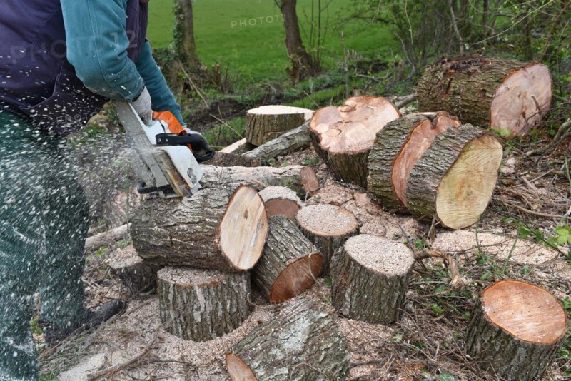Worker cutting trees with a chainsaw, Germany, Europe