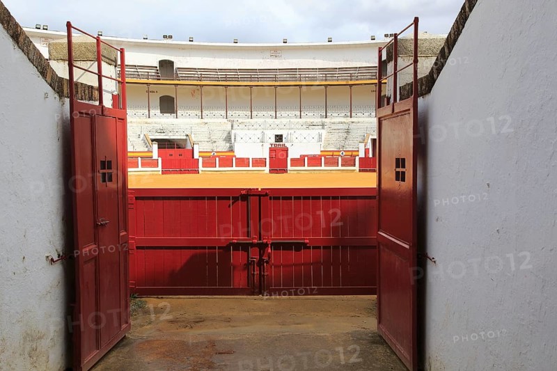 Plaza de Toros bullring built 1914, Merida, Extremadura, Spain, Europe