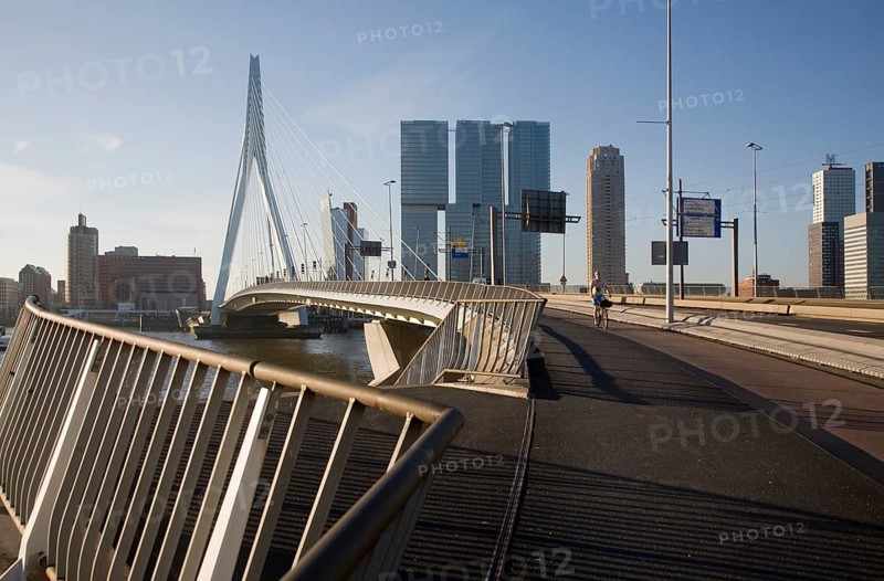 Erasmus Bridge, Erasmusbrug, spanning the River Maas designed by architect Ben van Berkel completed 1996, 800 metre span linking north and south Rotterdam, Netherlands