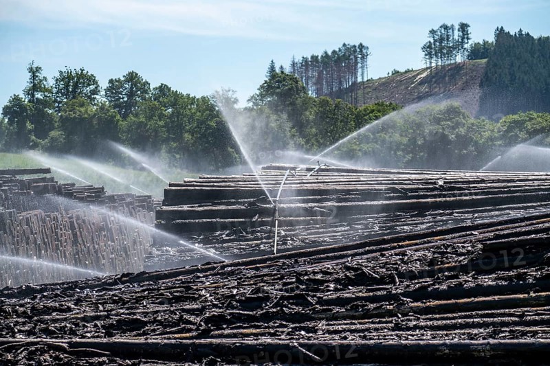 Wet wood storage of a sawmill, timber that is stored longer is sprinkled with water so that the logs soak up water and thus keep pests away and the wood is not too dry and cracks for processing, spruce wood, Arnsberg Forest, Ansberg, North Rhine-Westphalia, Germany, Europe