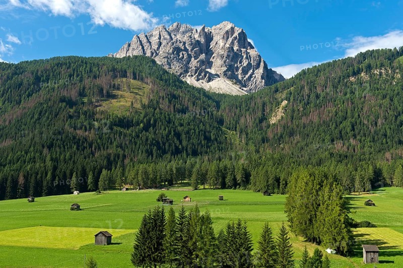 Alpine landscape with green alpine meadows, forest belt and summit massif of the Dreischusterspitzen, Sexten, Sesto, Hochpustertal, South Tyrol, Trentino-Alto Adige, Italy, Europe
