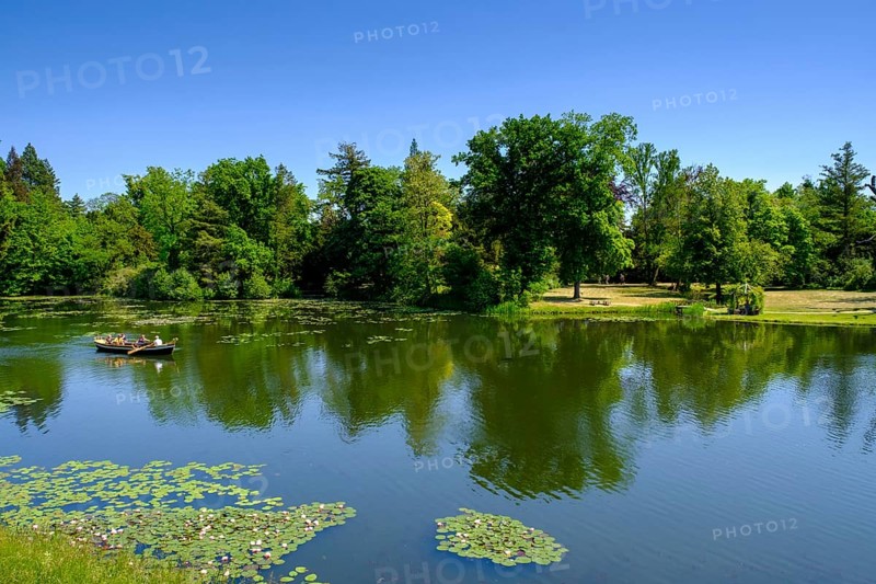 Dessau-Wörlitz Garden Kingdom, Wörlitz Park, UNESCO World Heritage Garden Kingdom of Dessau-Wörlitz, Dessau, Saxony-Anhalt, Germany, Europe