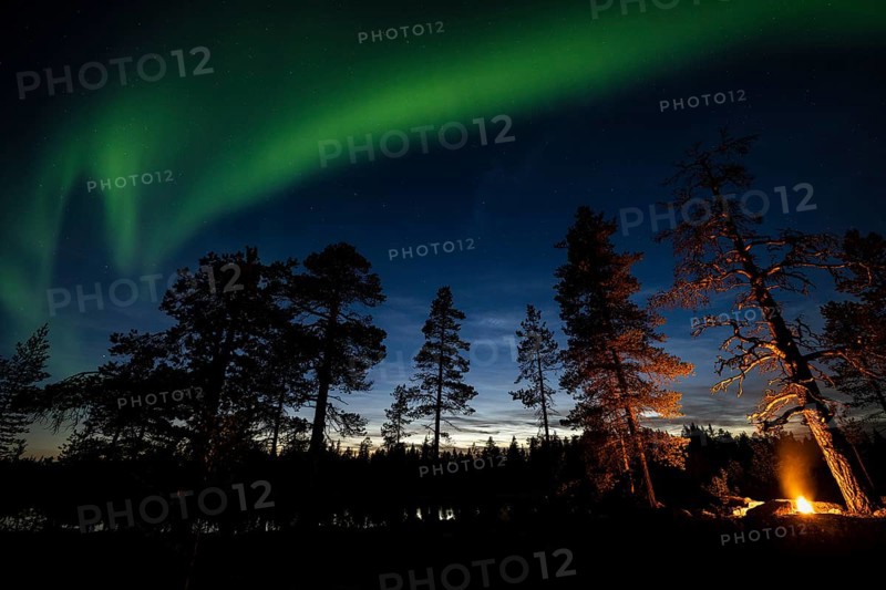 Man in the evening at a bivouac with campfire, Lapland, Sweden, Scandinavia, Europe