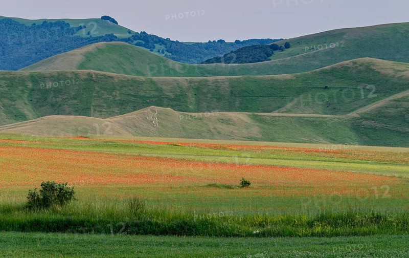Mountain landscape on the edge of the Pian Grande di Castelluccio di Norcia plateau in the Monti Sibillini National Park in the Umbrian-Marche Apennines. Castelluccio di Norcia, Umbria, Italy, Southern Europe, Europe