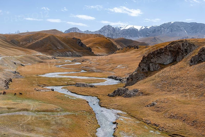 River Kol Suu winds through a mountain valley with hills of yellow grass, Naryn Province, Kyrgyzstan, Asia