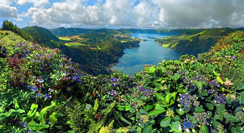Sweeping views over the picturesque crater lakes Lagoa Verde and Lagoa Azul surrounded by lush greenery and hydrangea blossoms, crater circular hiking trail, Caldeira das Sete Cidades, Miradouro da Vista do Rei, Lagoa Verde, Lagoa Azul, Sao Miguel, Portugal, Europe