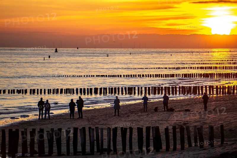 Sunset on the beach of Zoutelande, beach with wooden pile breakwaters, Zeeland, Netherlands