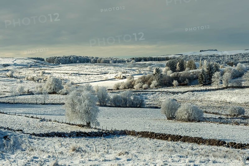 Aubrac plateau in winter. Lozere departement. Occitanie. France