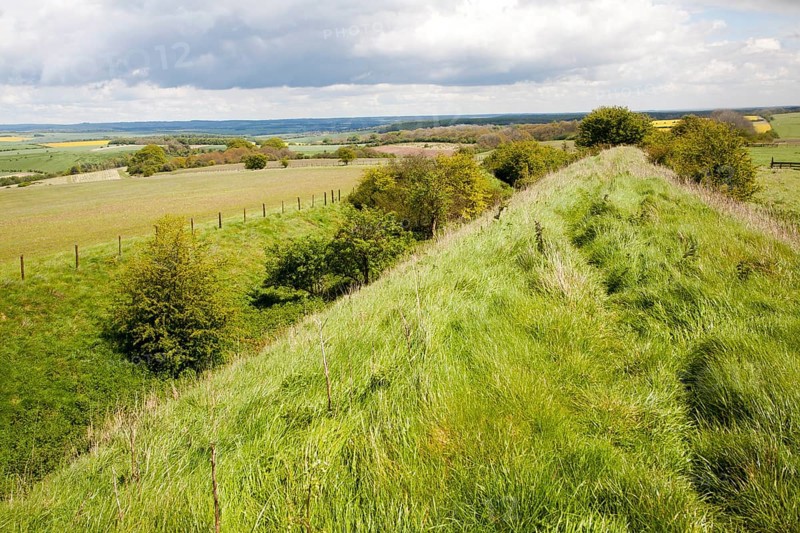 Ditch and embankment of the Wansdyke a Saxon defensive structure on All Cannings chalk downs near Tan Hill, Wiltshire, England, United Kingdom, Europe