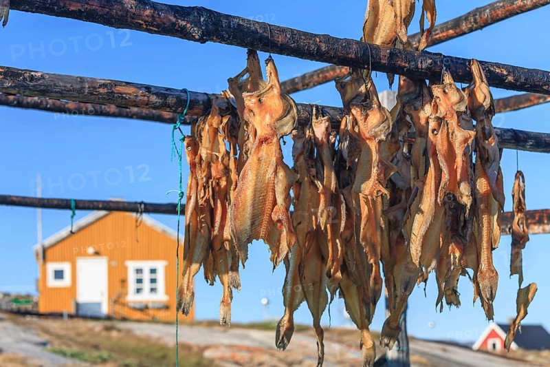 Dried fish, seal meat, whale meat, Inuit settlement, Ittoqqortoormiit, East Greenland, Greenland, North America