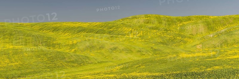 Landscape around Pienza, Val d'Orcia, Orcia Valley, UNESCO World Heritage Site, Province of Siena, Tuscany, Italy, Europe