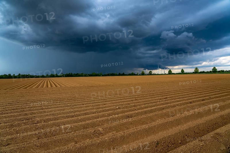 Dark rain clouds, thunderclouds over a potato field, near Grevenbroich, North Rhine-Westphalia, Germany, Europe