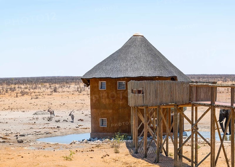 Olifantsrus waterhole with lookout tower and footbridge, Two spikebucks (Oryx gazella) in dry savannah with orange-coloured sand, Etosha National Park, Namibia, Africa