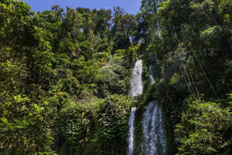 Tiu Kelep waterfall, nature, landscape, flowing, river, fresh, clear, clean, environment, rainforest, jungle, green, ecological, long-distance, exotic, cascade, flora, botany, jungle, forest, tranquillity, relaxation, wellness, idyllic landscape, beautiful, natural spectacle, paradise, threatened, endangered, paradisiacal, hiking, trekking, tropical forest, rainy season, travel, tourism, water, tropical, tropics, Asian, natural landscape, untouched, holiday, pristine, water, fresh, Lombok, Indonesia, Asia