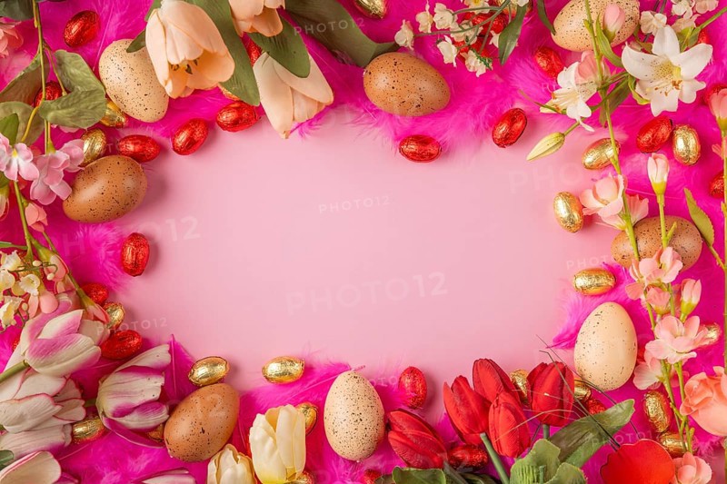 Frame of eggs and spring flowers on pink feathers with red and gold chocolate eggs on a pink background