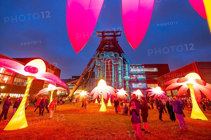 Extraschicht, the long night of industrial culture, cultural festival across the Ruhr region, 35 venues in 19 cities, here Illuminating flowers at the Zeche Zollverein in Essen, Doppelbock pithead winding tower shaft 12, North Rhine-Westphalia, Germany, Europe