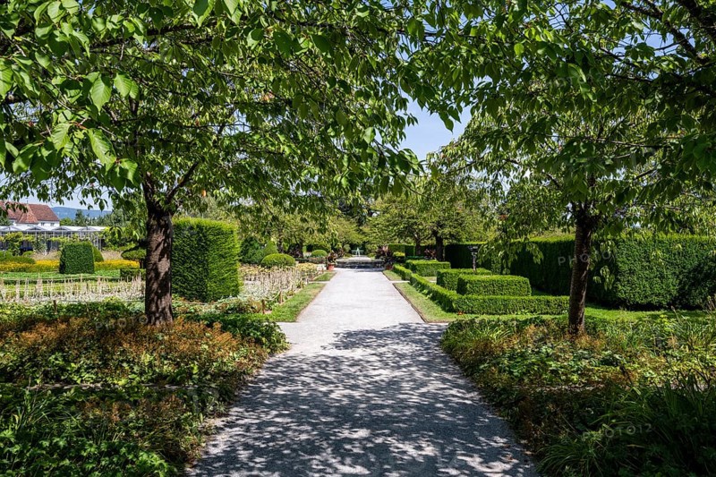 The courtyard garden in summer, Salem Castle, former imperial abbey, former monastery of the Cistercian order, Salem, Lake Constance, Lake Constance district, Baden-Württemberg, Germany, Europe