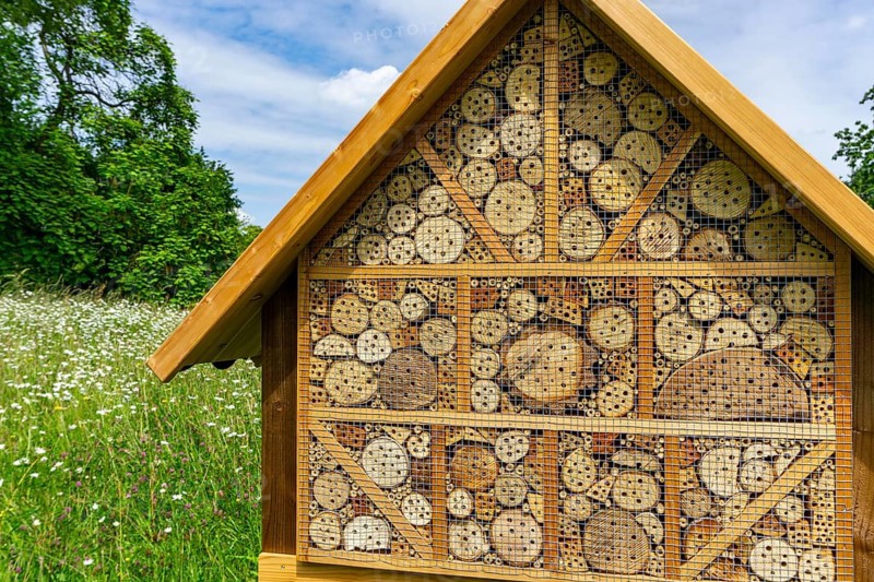 Insect hotel, wildflower meadow at the park cemetery in Essen, the city's largest cemetery, North Rhine-Westphalia, Germany, Europe