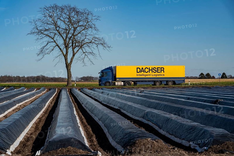 Agriculture on the Lower Rhine, early season, asparagus cultivation in spring, under plastic sheeting, foil tunnel, asparagus field, landscape under plastic sheeting, Walbeck, town of Geldern, North Rhine-Westphalia, Germany, Europe