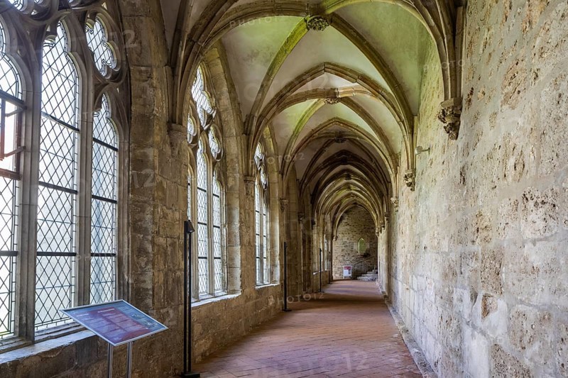 Walkenried Abbey is a former Cistercian abbey in Walkenried, situated on the southern edge of the Harz Mountains near the border triangle of Lower Saxony, Saxony-Anhalt and Thuringia. The building complex includes the ruins of the abbey church and the largely preserved Gothic cloister building. This was converted into the Walkenried Monastery Cistercian Museum in 2006. Since 2010, the monastery complex has been a UNESCO World Heritage Site as part of the Rammelsberg Mine, Goslar Old Town and Upper Harz Water Management Site, Walkenried Monastery, Walkenried, Lower Saxony, Germany, Europe