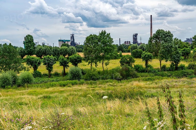 Duisburg Friemershein, floodplain along the Rhine, nature reserve Rheinaue Friemersheim, in the background the HKM steelworks, North Rhine-Westphalia, Germany, Europe