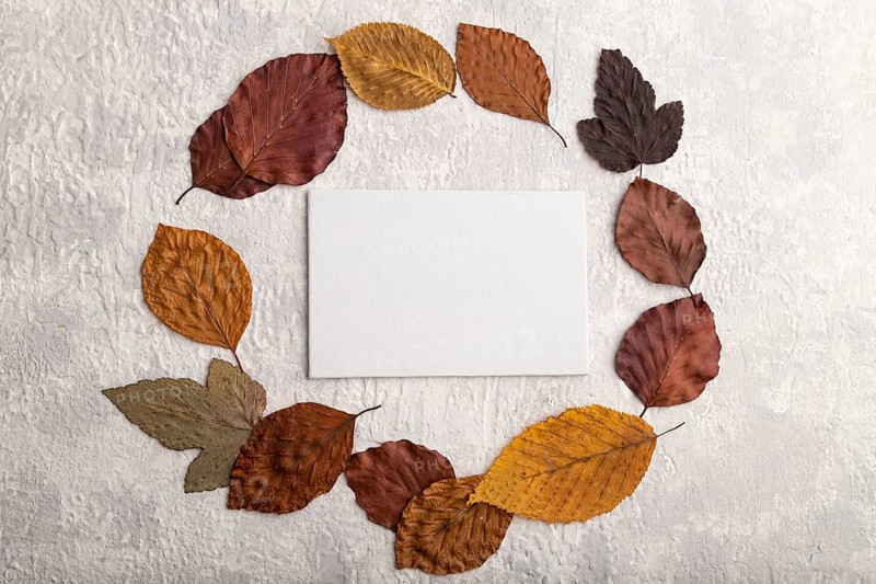 Wreath circle composition with yellow and brown autumn leaves and white business card, round frame mockup on gray concrete background. Blank, flat lay, top view, still life, copy space