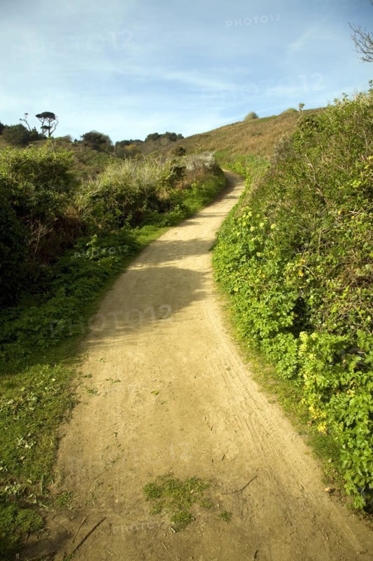 Footpath leading uphill into the centre, Island of Herm, Channel Islands, Great Britain
