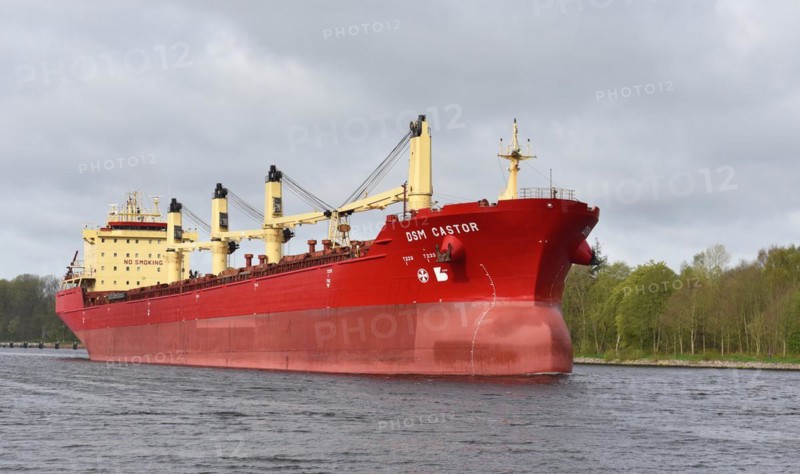 Cargo ship DSM Castor travelling through the Kiel Canal, Kiel Canal, Schleswig-Holstein, Germany, Europe