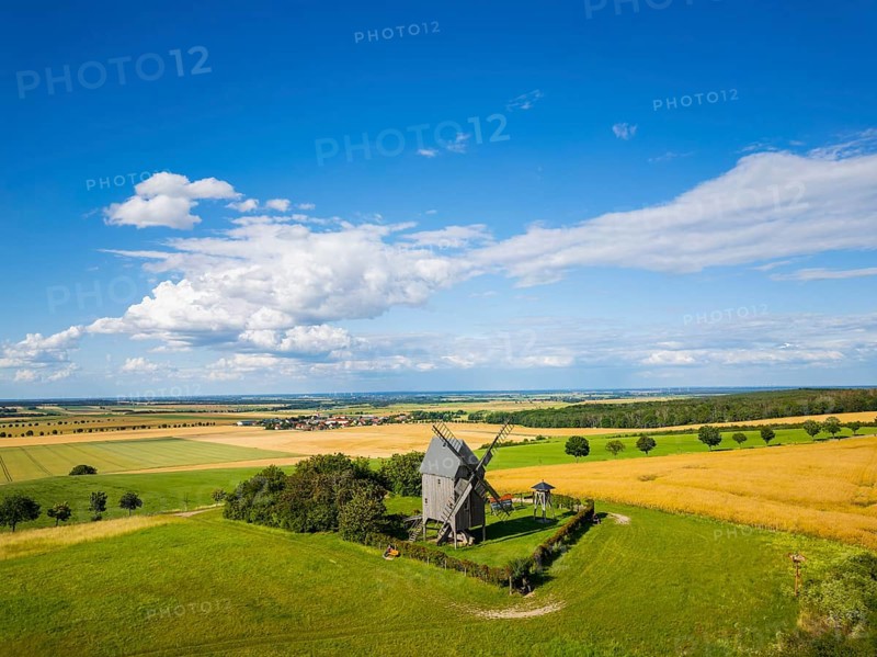 The Liebschützberg is a mountain range near Oschatz in the district of North Saxony, on which a historic trestle windmill stands. The municipality of Liebschützberg takes its name from this mountain. The ecumenical pilgrimage route leads over the ridge. Liebschützberg trestle windmill. A wooden building dating back to 1828, Liebschützberg, Liebschütz, Saxony, Germany, Europe