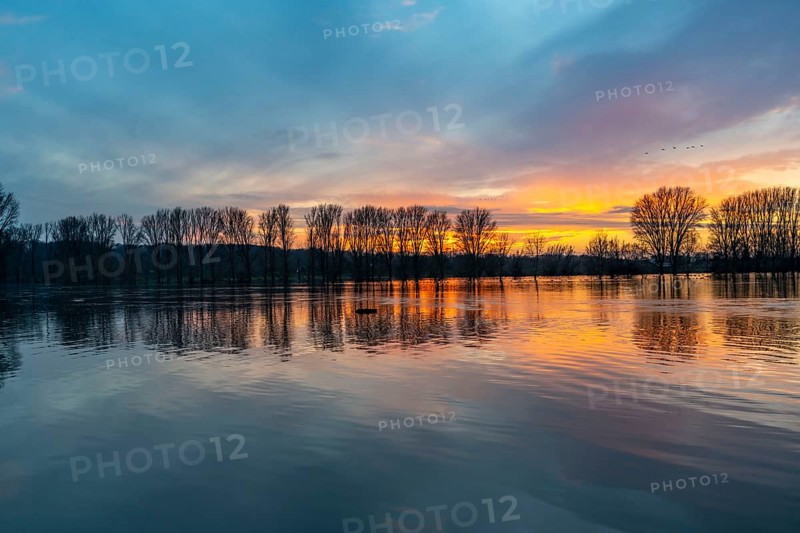 Bislicher Insel nature reserve, floodplain landscape on the Rhine, near Xanten, floods, flooded fields, meadows, North Rhine-Westphalia, Germany, Europe
