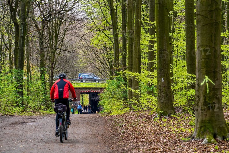 The Sterkrader Wald in Oberhausen, at the Oberhausen motorway junction, where the A2/A3A/A516 meet, it is to be expanded, 11 hectares of forest, around 5, 000 trees are to be felled for this, strong resistance to the plans has formed in the region, #Sterkibleibt, North Rhine-Westphalia, Germany, Europe